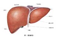 保山男科医院联大